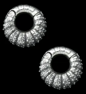 Barnacle White Brass Hinged Ear Weights