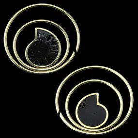 Black Ammonite Fossil Double Ear Weights
