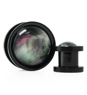 Black Aurora Shell Stainless Steel Plugs