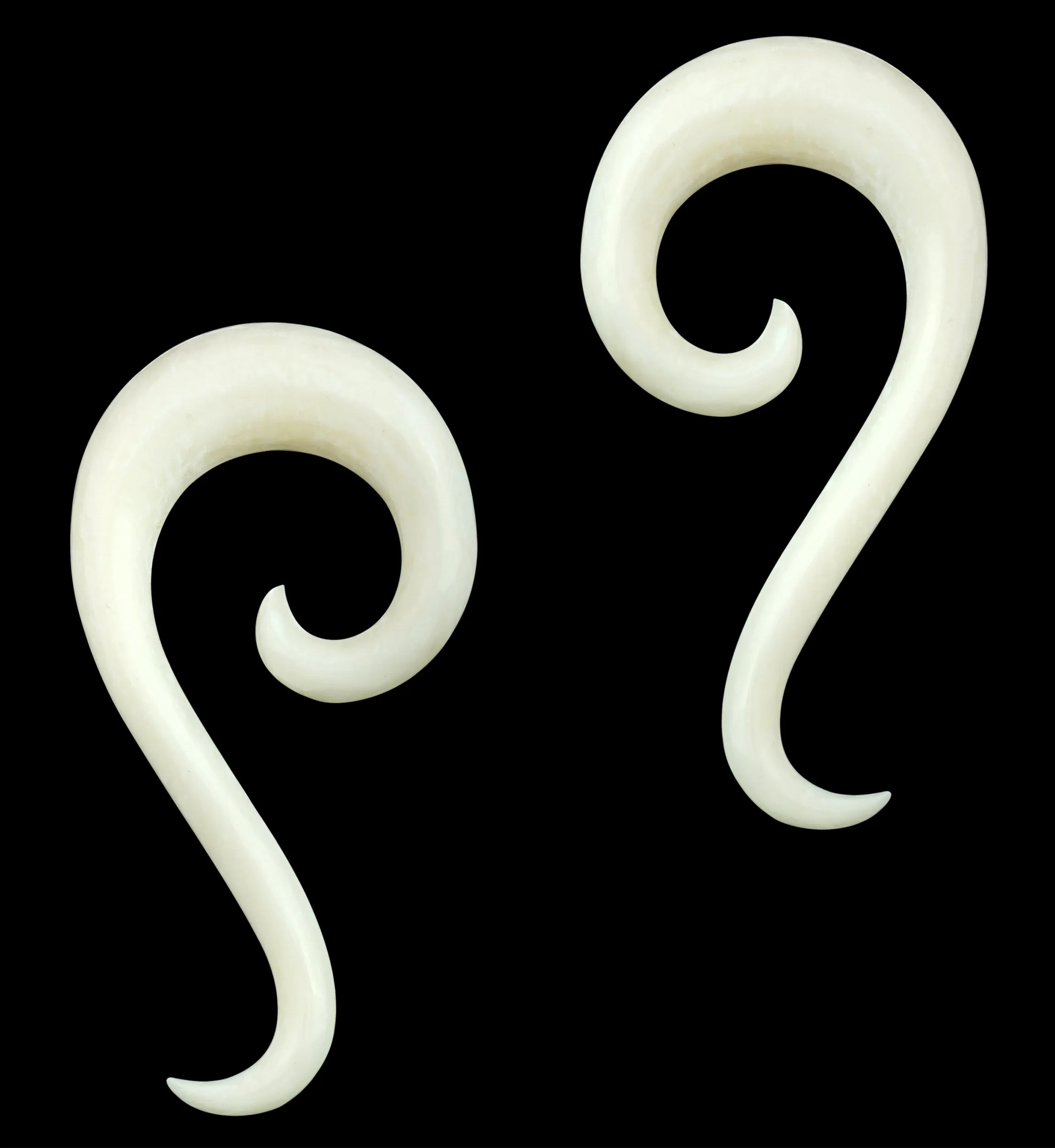 Bone Tail Spirals