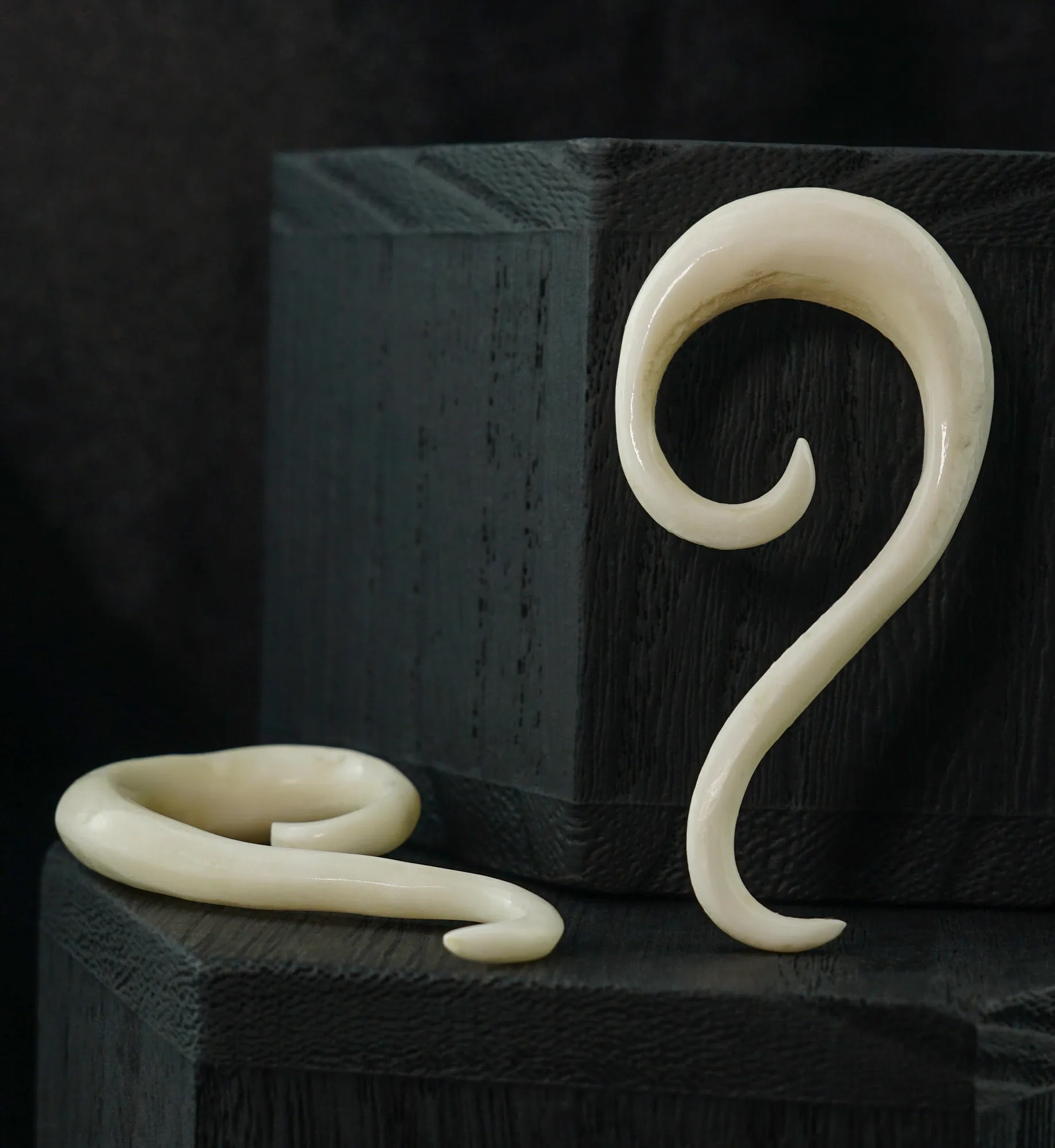 Bone Tail Spirals