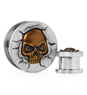 Brass Skull Stainless Steel Screw Back Plugs