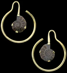 Drop Ammonite Fossil Ear Weights