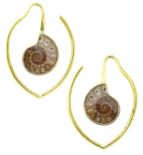 Drop Ammonite Fossil Teardrop Ear Weights
