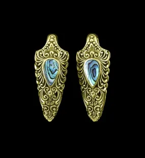 Florid Abalone Brass Ear Weights