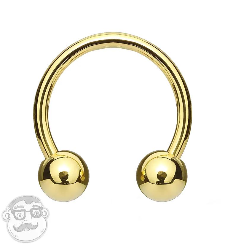 Gold PVD Circular Barbell