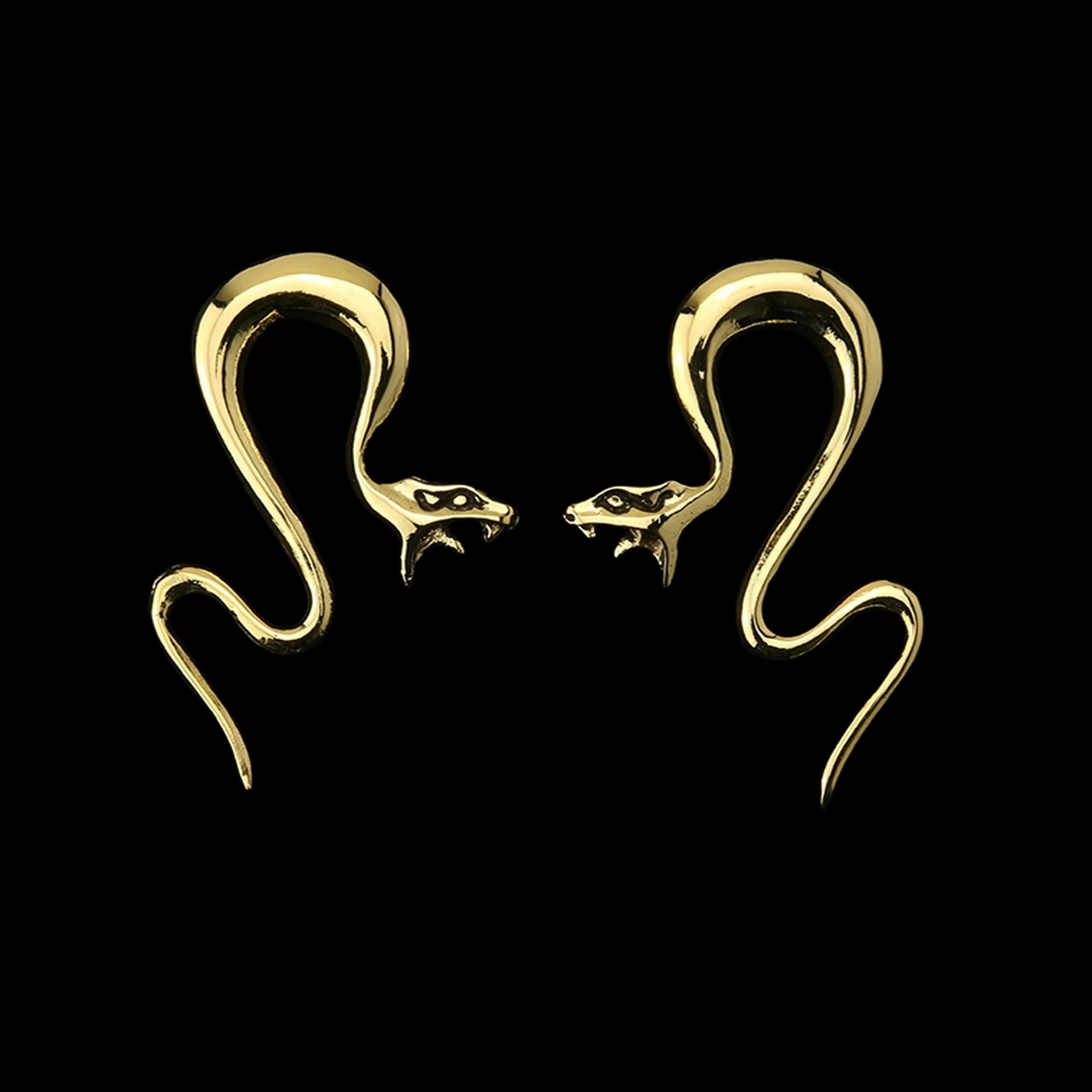 Golden Snake Brass Ear Weights