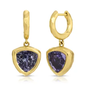 Hidden Gems - Trillions Tanzanite