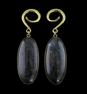 Ovoid Arfvedsonite Hanging Stone Ear Weights