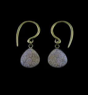 Ovum Fossilized Coral Brass Hangers