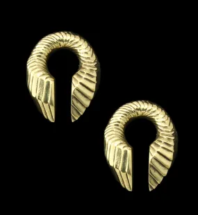 Proxy Keyhole Brass Ear Weights