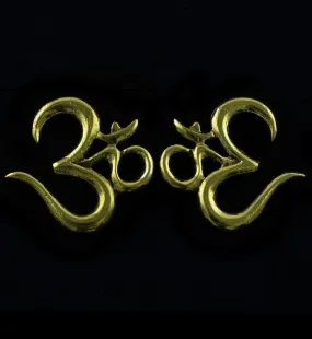 Sacred Om Brass Ear Weights