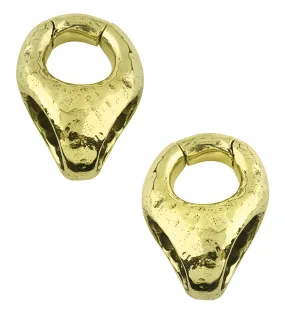 Salient Brass Hinged Ear Weights