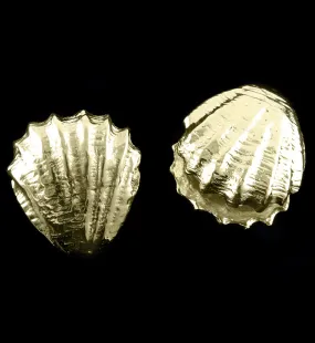 Seashell Brass Ear Weights
