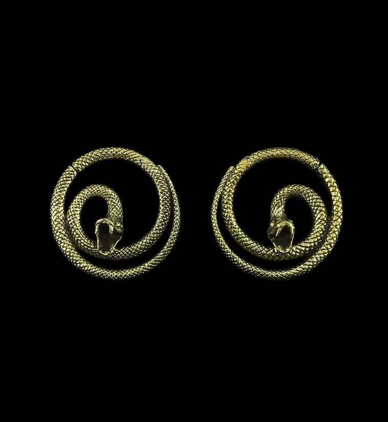 Snake Hinged Ear Weights