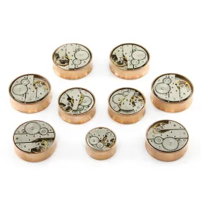 Steampunk Gear IP Rose Gold Stainless Steel Plugs