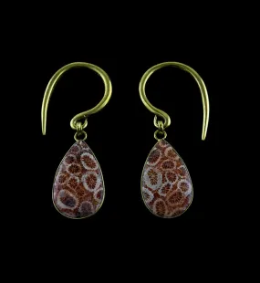 Teardrop Fossilized Coral Brass Hangers