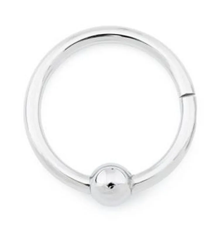 Titanium Hinged Segment Captive Ring